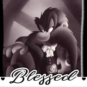 Meet your Posher, Carroll